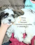 zuzu