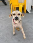 Mel
