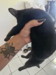 Bruce