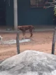 não tem nome 