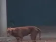 não tem nome 
