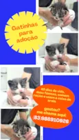 Maya e Priscila
