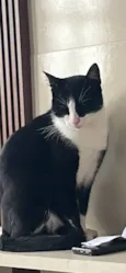 Tom