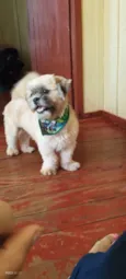 Bob