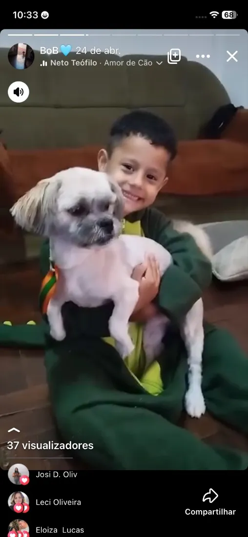 Cachorro raça Lhasa Apso idade 2 anos nome Bob