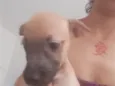 princesa