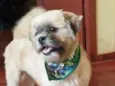Bob