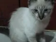 Nana