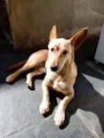 Nick
