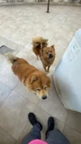 Nina e Lili
