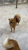 Nina e Lili