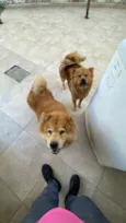 Nina e Lili