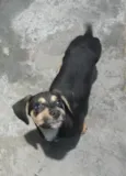 Amigão