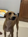 Lua