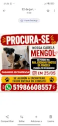 Mengol