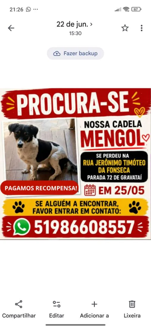 Cachorro raça SRD-ViraLata idade 6 ou mais anos nome Mengol