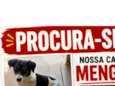 Mengol