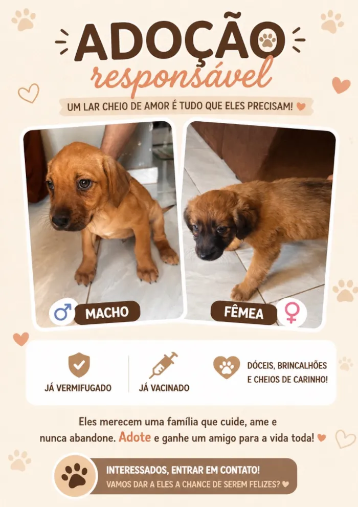 Cachorro raça SRD-ViraLata idade Abaixo de 2 meses nome Cachorro 
