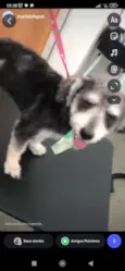 Lucky