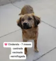 Cinderela