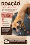 Tiêta