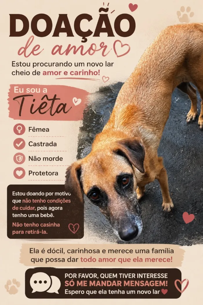 Cachorro raça SRD-ViraLata idade 4 anos nome Tiêta