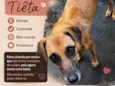 Tiêta