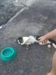 bebezinha ??