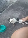 bebezinha ??