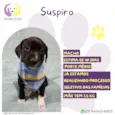 Suspiro