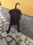 Lupita