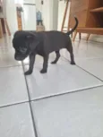 Lupita