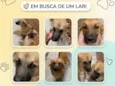Tiffany e Brittany