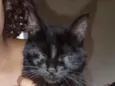 Nox