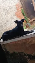 bob