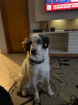 Nala