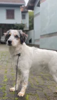Nala