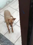 Nina