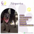 Neguinho