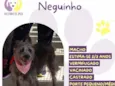 Neguinho