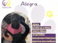 Allegra