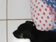 Charles