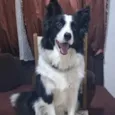 Lewis