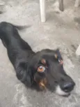 Pito