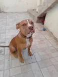 zig