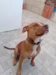 zig