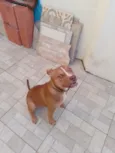 zig