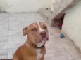 zig