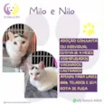 Milo e Nilo
