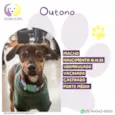 Outono